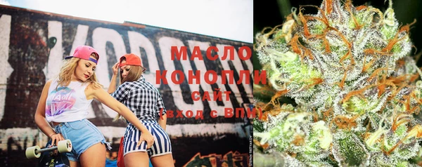 мдпв Вяземский