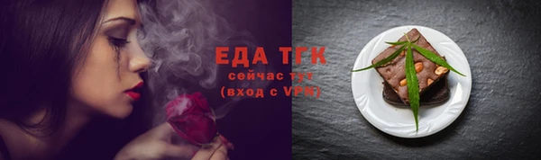 мдпв Вяземский
