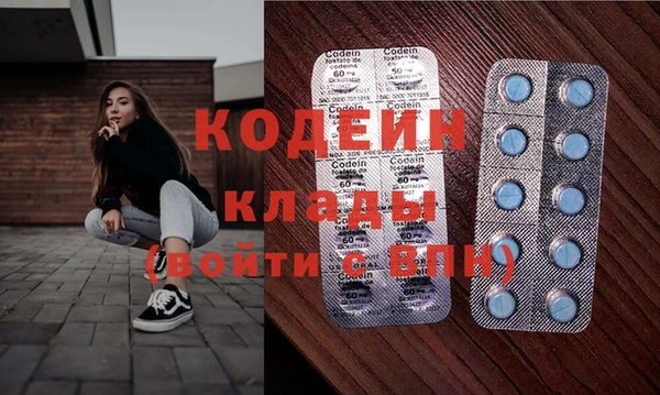 мдпв Вяземский
