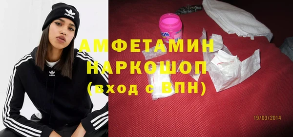 мдпв Вяземский