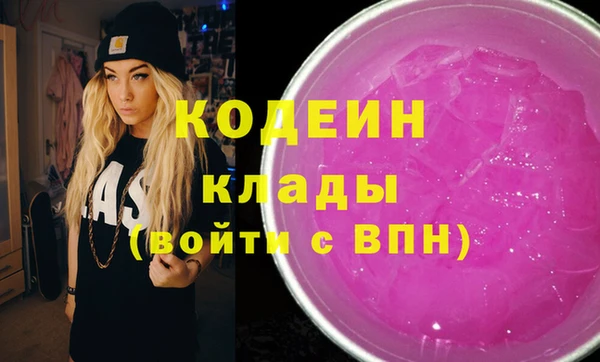 мдпв Вяземский