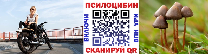что такое   Ноябрьск  Псилоцибиновые грибы мицелий 